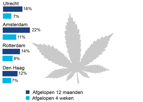 In de afgelopen 12 maanden heeft 22% van de Amsterdamse volwassenen cannabis gebruikt. In Utrecht was dit 16%, Rotterdam 14% en in Den Haag 12%.
